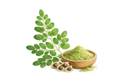 Moringa Extract